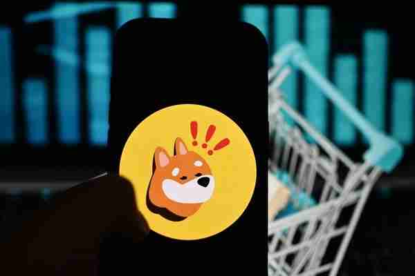 Bonk价格行动在5月来回来回，现在的加密货币现在已经回到了它开始的地方